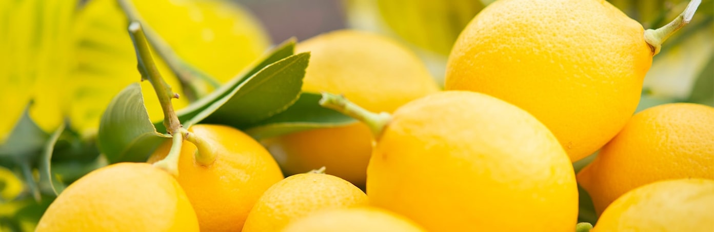 Des citrons jaunes