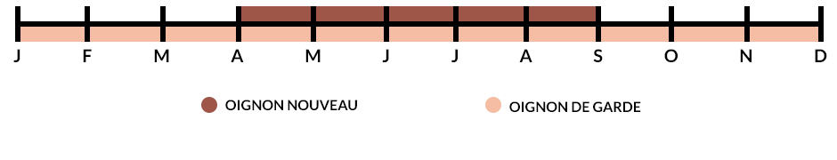 Les saisons de la production de l'oignon