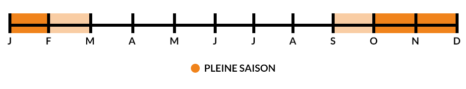 Les saisons de production du potiron