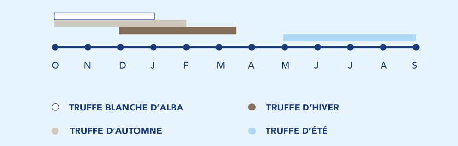 Les saisons de la truffe