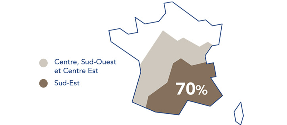 Carte de la production de truffe en France