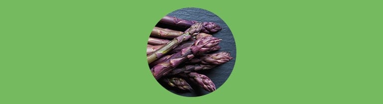Les variétés d'asperges - l'asperge pourpre