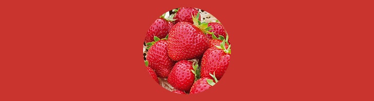 Variété de fraise - Charlotte