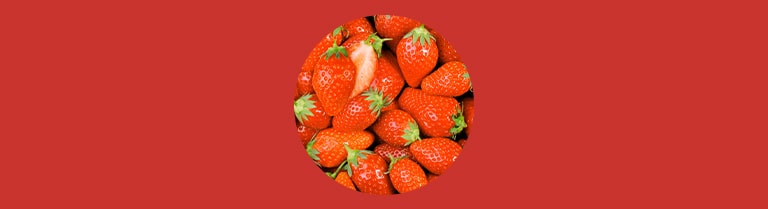 Variété de fraise - Ciflorette