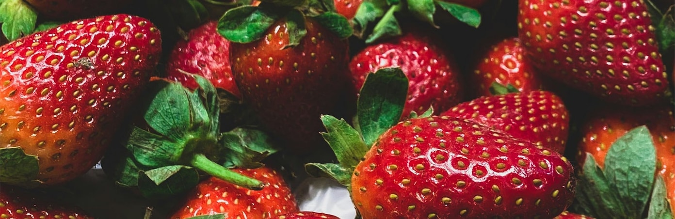 Fraises en gros plan