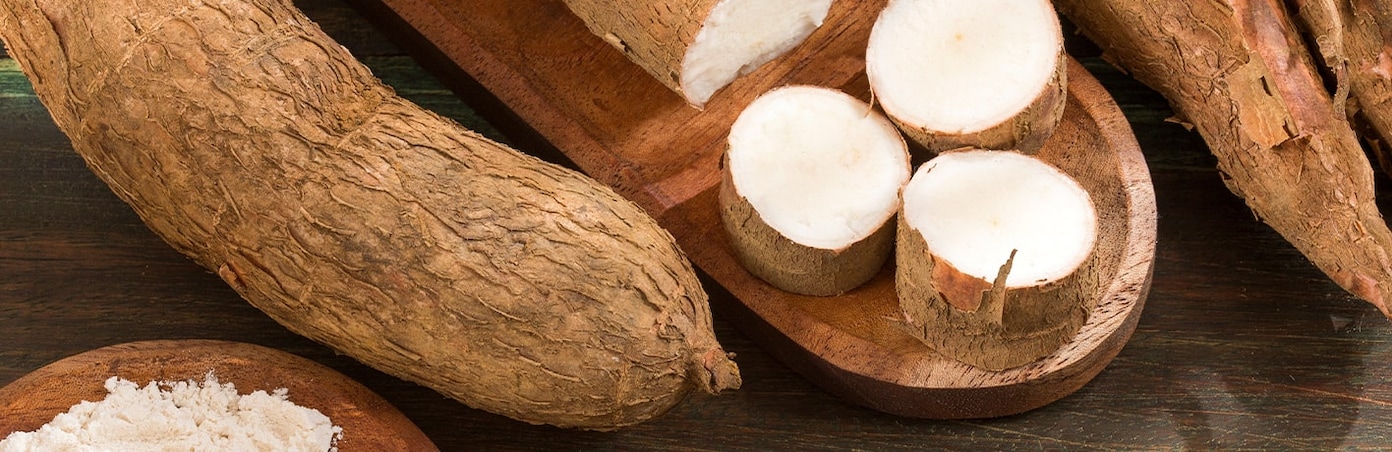 Manioc en gros plan