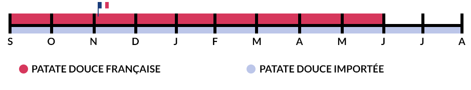 Les saisons de production de la patate douce