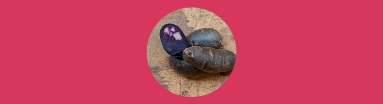Variété de patate douce à la chair violette