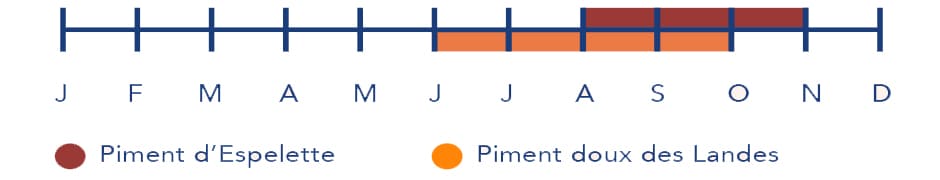 Les saisons de production de la patate douce