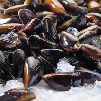 Les viandes et produits de la mer surgelés - les moules