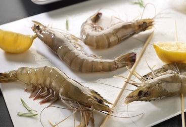 Les gambas