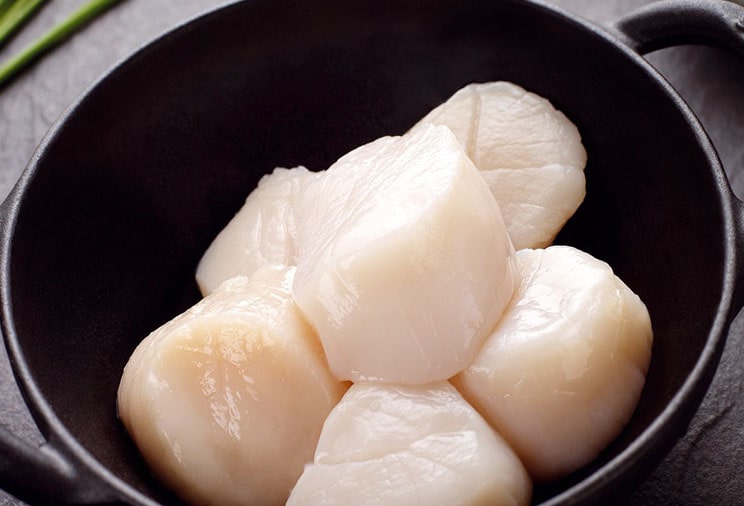 Les noix de St Jacques