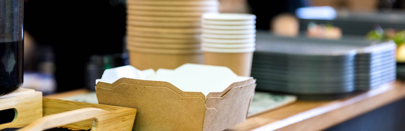 12 Assiettes en Carton - 29 cm - Blanc - Pure - Jour de Fête - Vaisselle  Jetable Eco-Responsable - Vaisselle Jetable