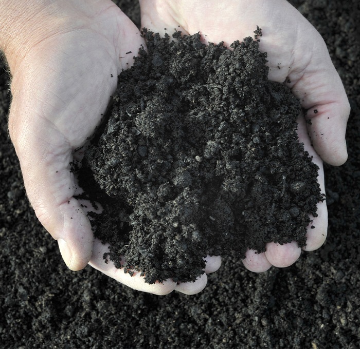 Réduire ses biodéchets : un geste pour la planète | METRO