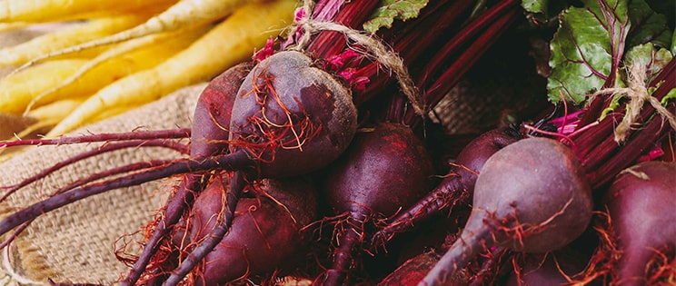 Les betteraves