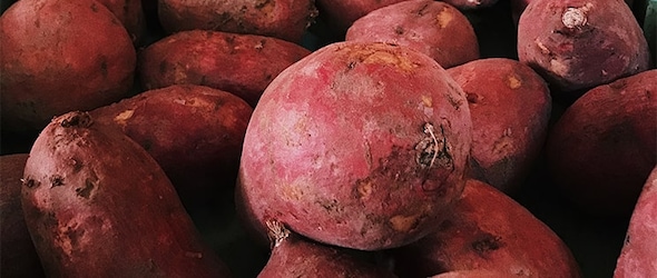 La patate douce