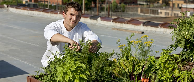Le développement durable