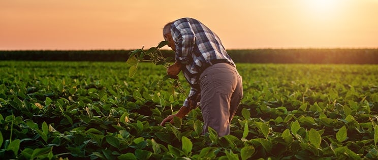 METRO : Engagé pour l'avenir
