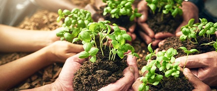 L'engagement environnemental de METRO