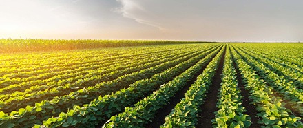 L'engagement local METRO