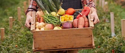 RSE METRO : une entreprise engagée pour l'avenir