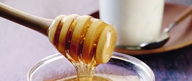 L'épicerie sucrée - Le miel