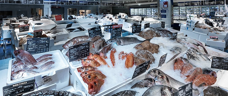 Le rayon marée METRO