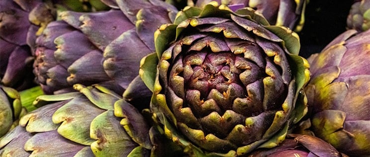 Artichauts en gros plan