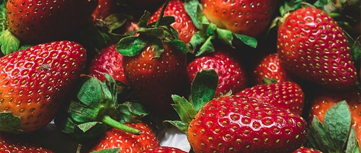 Fraises en gros plan
