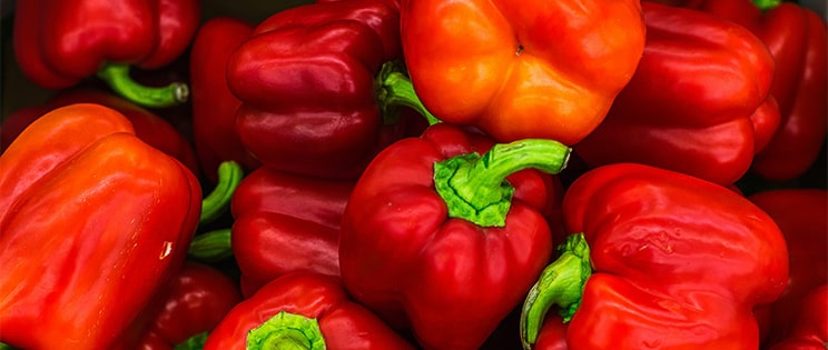 Poivrons en gros plan
