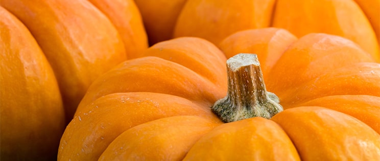 Potirons en gros plan