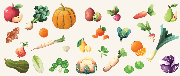 Les fruits et légumes du mois de janvier