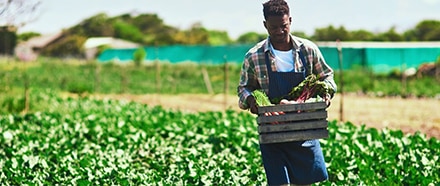 Mon restaurant passe au durable