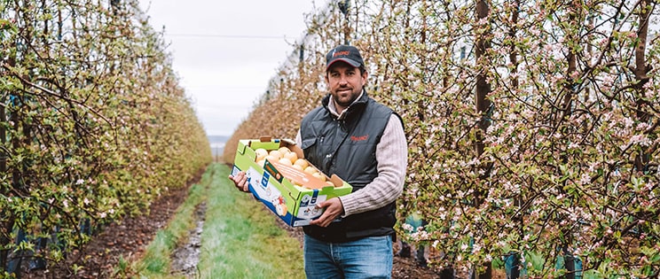 Romain Tessier producteur des pommes METRO Chef
