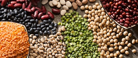 Sélection de légumineuses