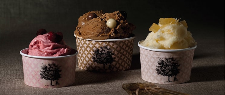 Les glaces et les sorbets