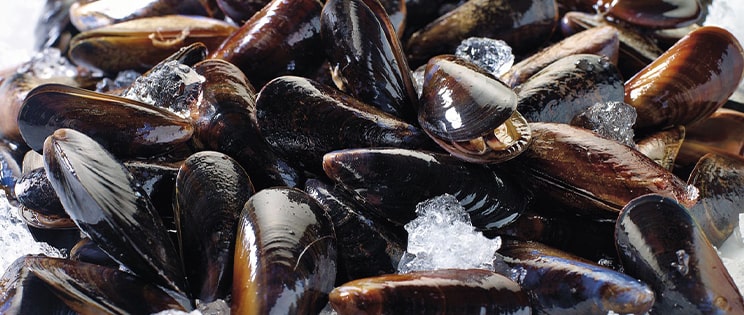 Les coquillages surgelés