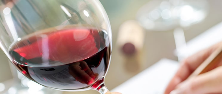 Dégustation d'un vin rouge