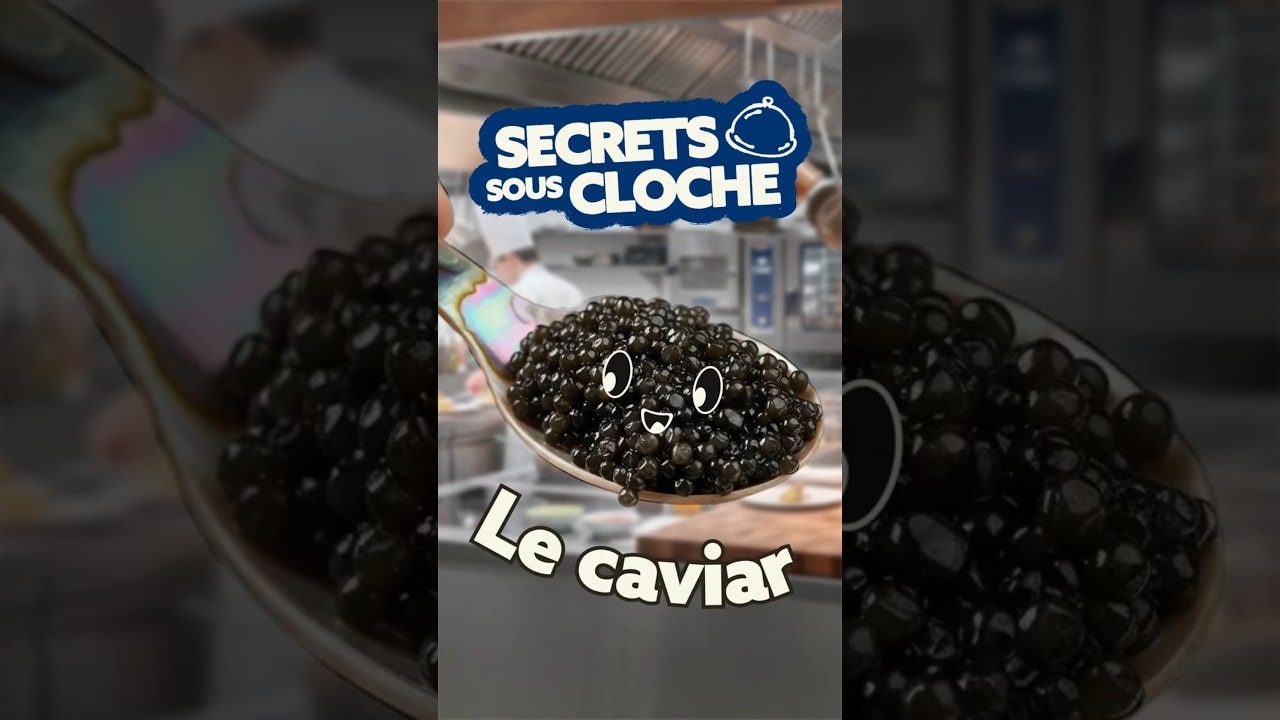 Vidéo Youtube - METRO - Le caviar : comment le déguster et avec quels aliments l'associer ?