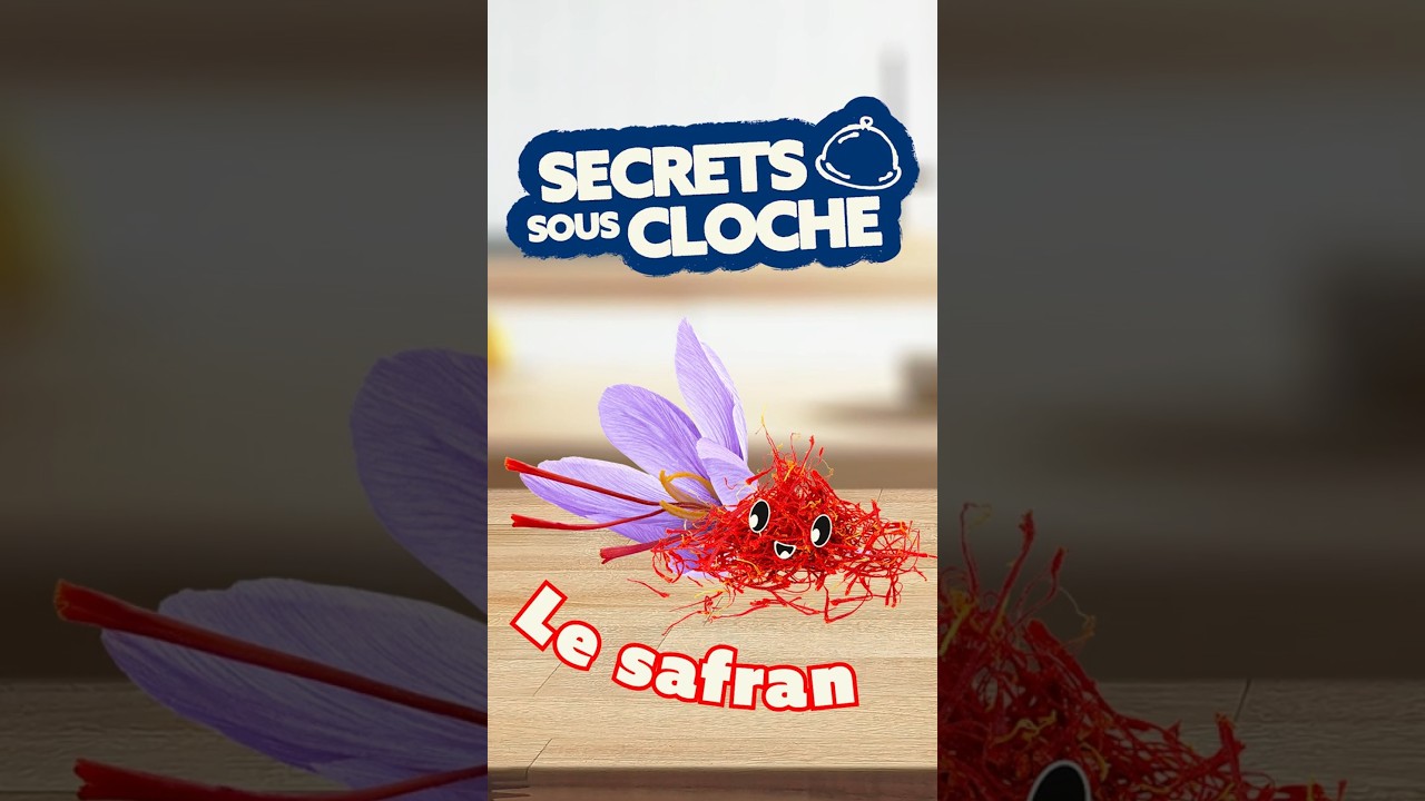 Vidéo Youtube - METRO - Le safran : comment l'utiliser en cuisine et pourquoi est-il si cher ?