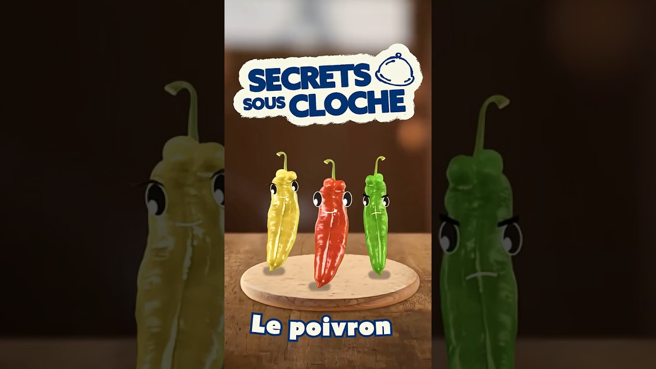 Vidéo youtube - METRO - Le poivron : fruit ou légume ? Secrets et astuces de chef pour le cuisiner
