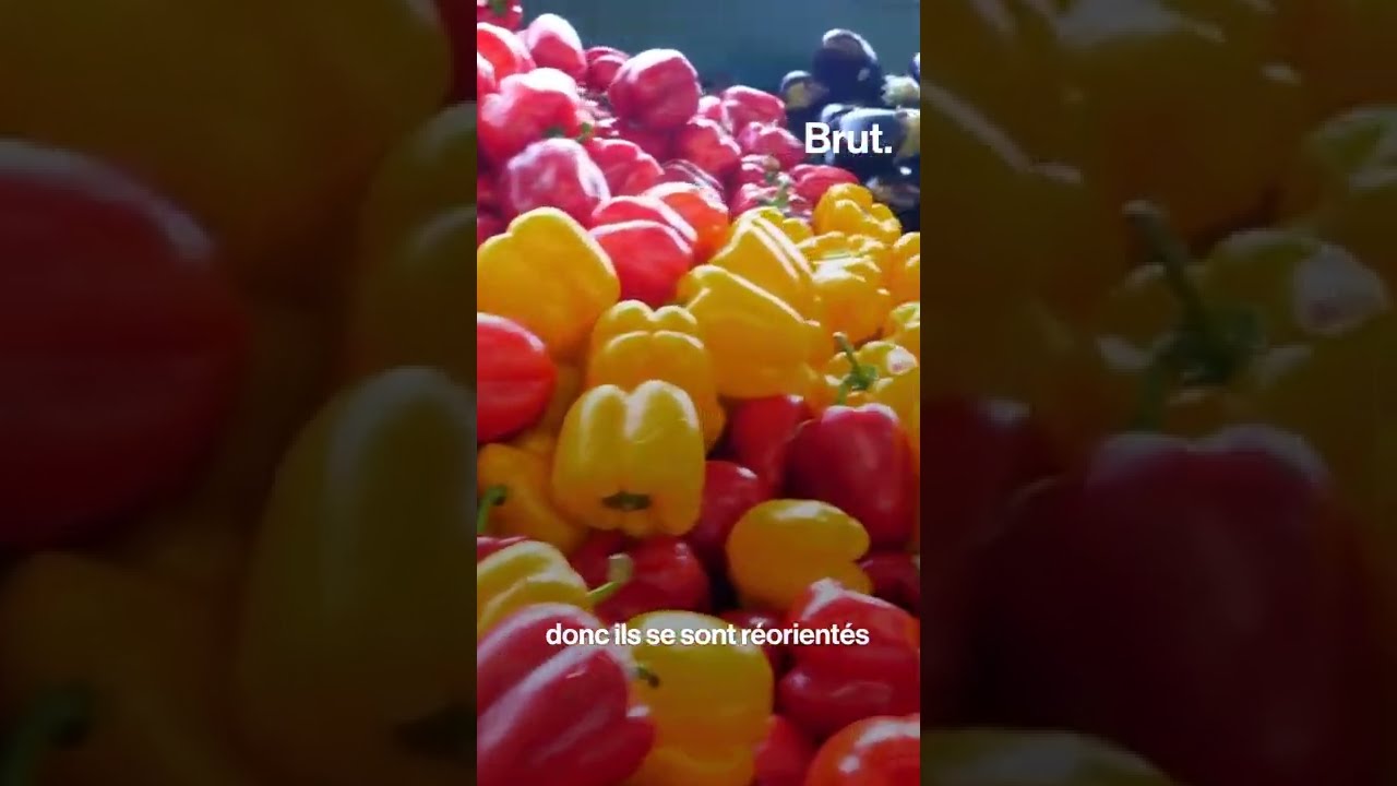 Vidéo Youtube - METRO - Brut.