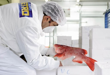 Haccp2 CT