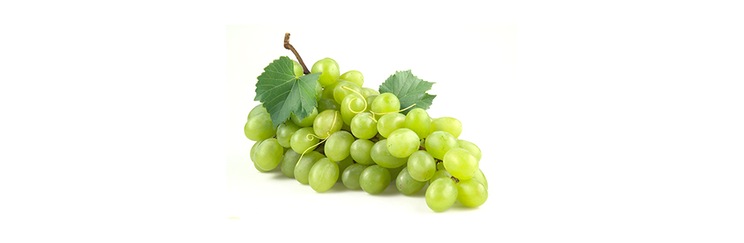 grozdje_bijelo