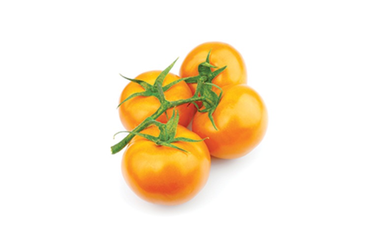 narancasta rajcica