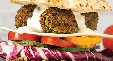 FALAFEL SENDVIC teaser