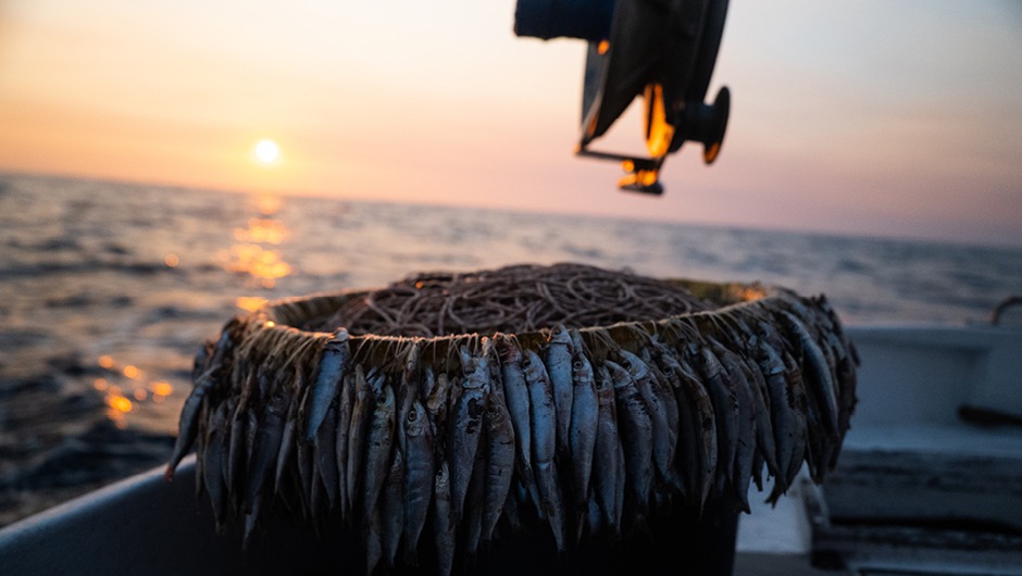 RIBARSKA ZADRUGA KOMIZA_940x530px_3
