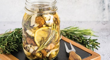 Ukiseljene gljive teaser