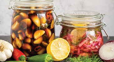 Ukiseljeni ljubičasti luk teaser