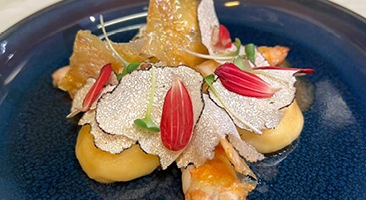 Škampi, tartuf i skuta teaser